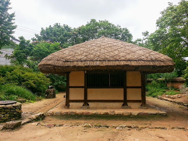 Free Thatch Roofed Hose Country photo and picture