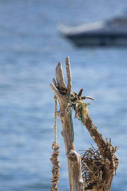 Free Sea Yacht photo and picture