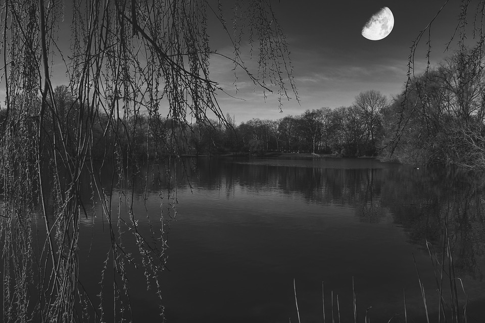 Moon Lake Trees Free photo on Pixabay Pixabay