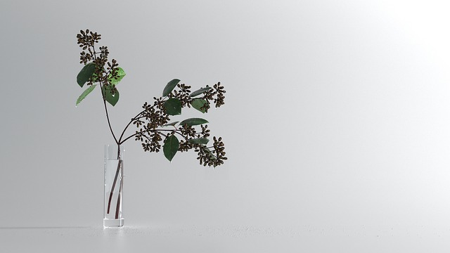 Planter, Glasflasker, Natur, Vanddråber