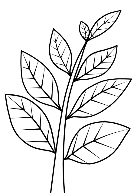 Free Branches Tree illustration and picture