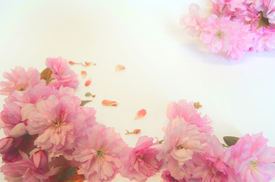 Flowers Valentine'S Day Background - Free photo on Pixabay