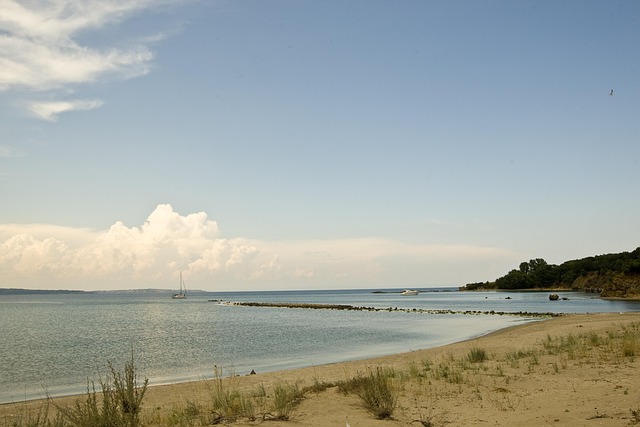 Free Sea Beach photo and picture