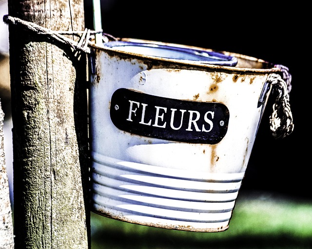 Bloemen, Emmer, De Lente, Decoratie