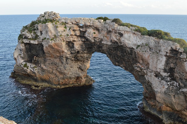 Free Mallorca Nature photo and picture
