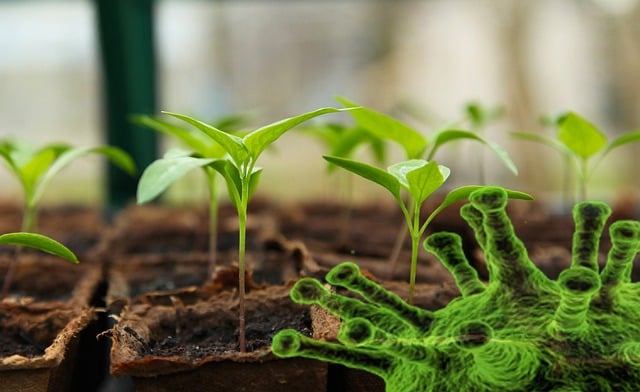 Free self sufficiency prepper growing food illustration