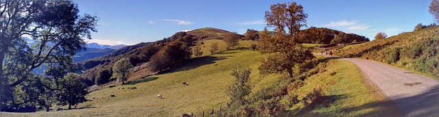 Free Autumn Pyrenees photo and picture