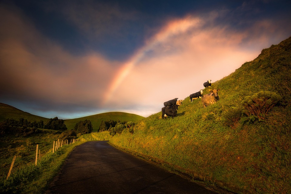 Integrating Success: Connecting Your Tools with Cloud CRM