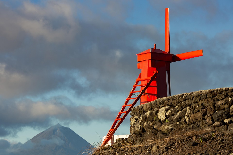 The Aftermath of Eruption: How Pico Island Volcano Influences Biodiversity