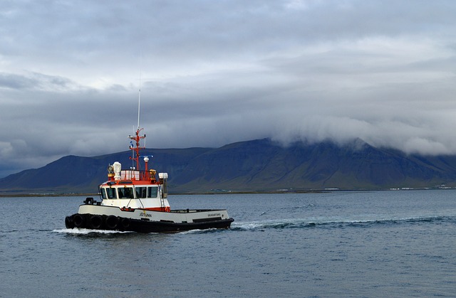 Båd, Island, Hav, Landskab, Vand, Havn