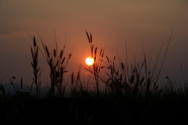 Sunset, Nature, Thailand, Outdoor