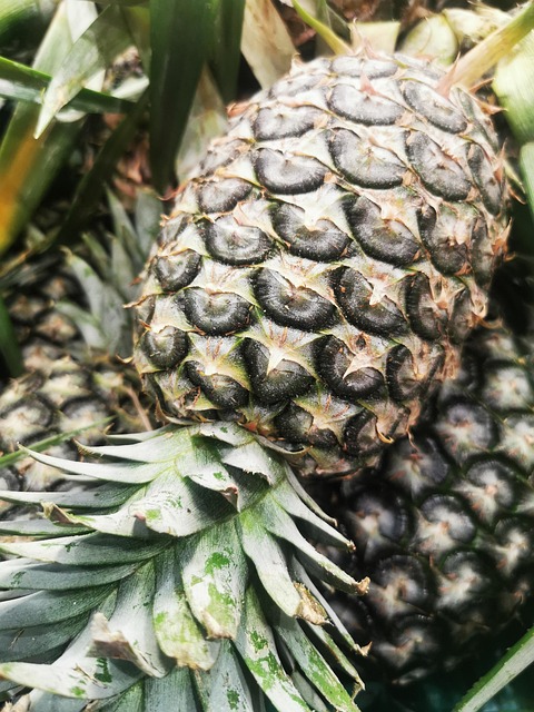 Pineapple, Fruit, Green