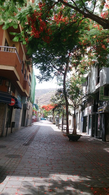 Free Tenerife Street photo and picture