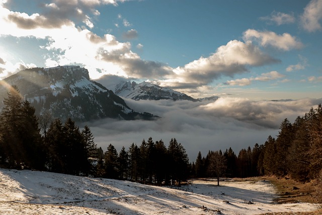Schweiz, Schnee, Berge, Landschaft