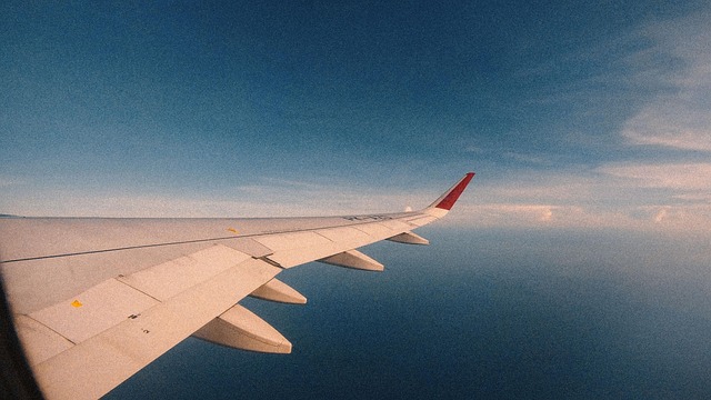 Free Plane Skies photo and picture