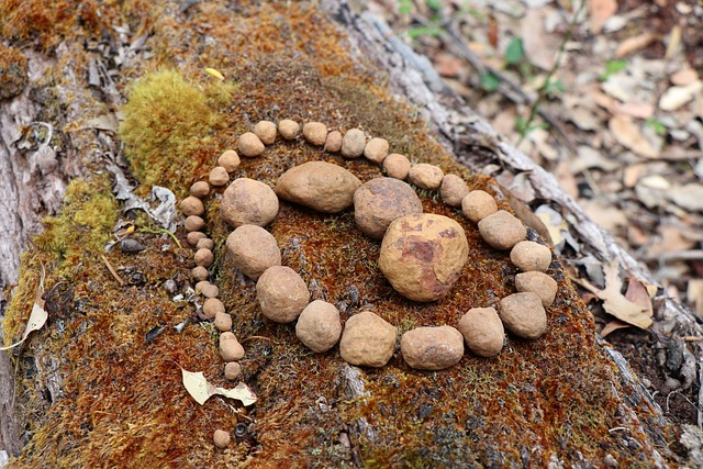 Free Stone Art photo and picture