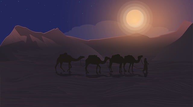 Night, Desert, Landscape, Caravan