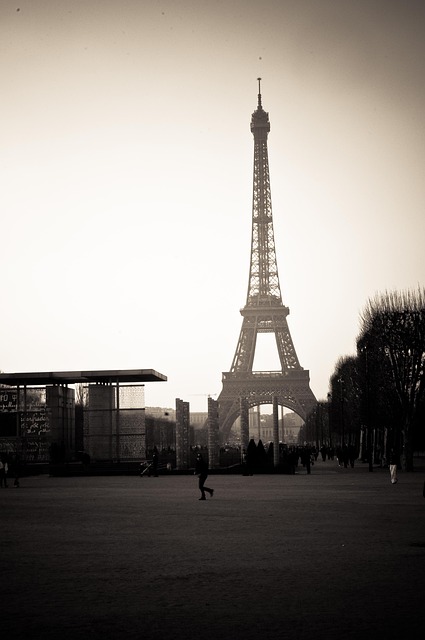 Free Paris France photo and picture