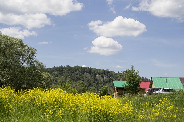 Feder, Baschkirien