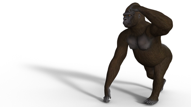 Free gorilla ape animal illustration