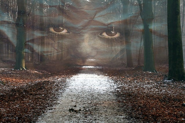 Free dark mysterious forest illustration