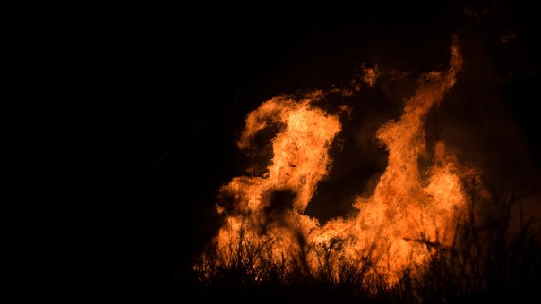 Free Fire Flames photo and picture