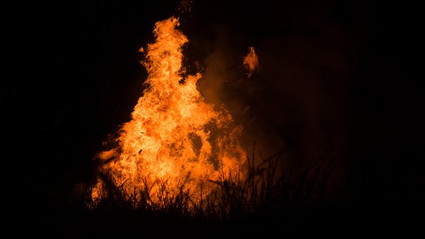 Free Fire Flames photo and picture