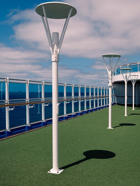 Free Cruise Ship photo and picture