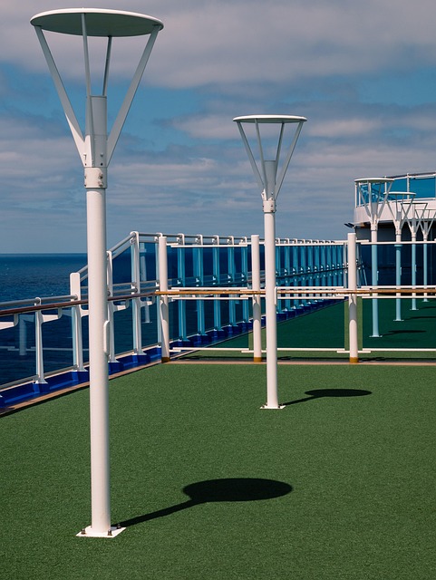 Free Cruise Ship photo and picture