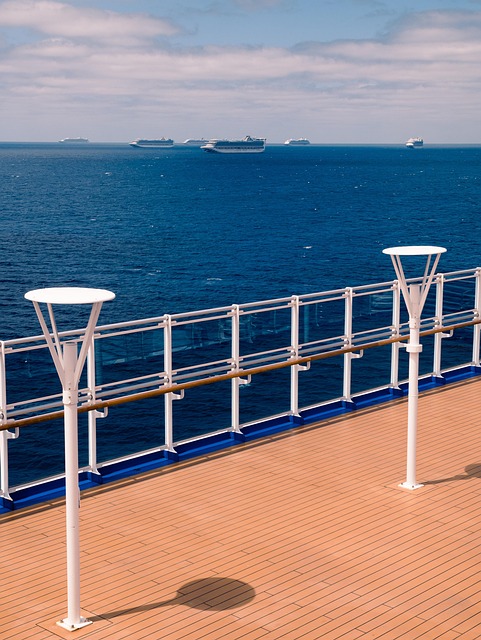 Free Cruise Ship photo and picture