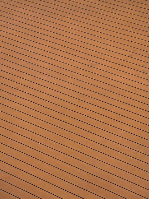 Free Cruise Ship photo and picture