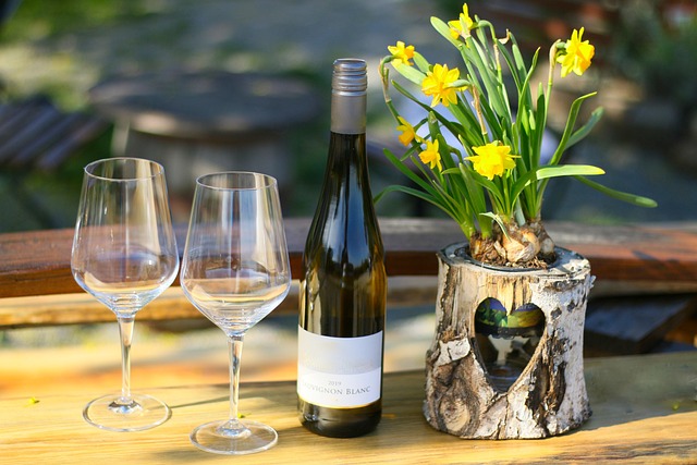 wine glass, wine, spring, nature, relaxation, enjoyment, bottle, restaurant, date of birth, wine tasting