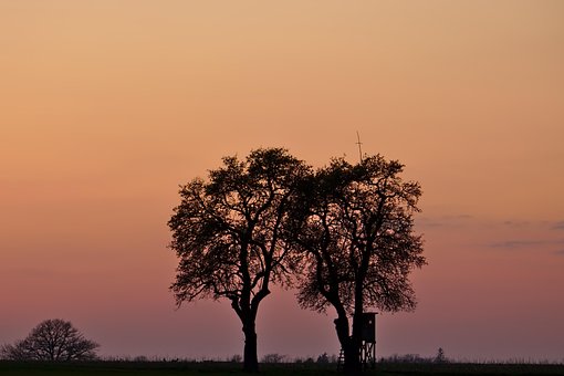 Free Sunset Landscape photo and picture