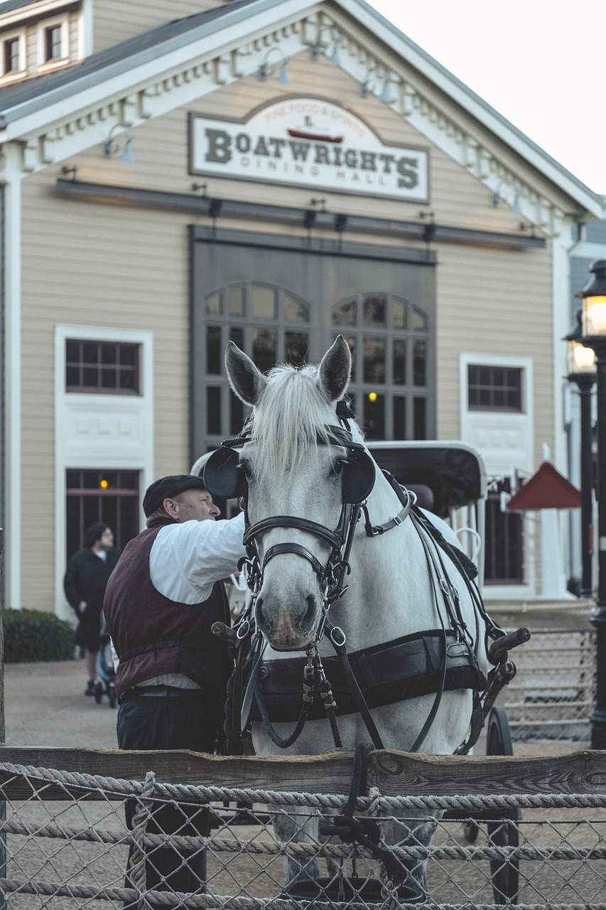 horse and carriage belt coach