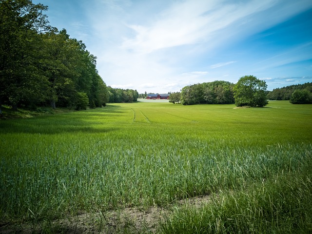 Free Beautiful Blue Sky photo and picture