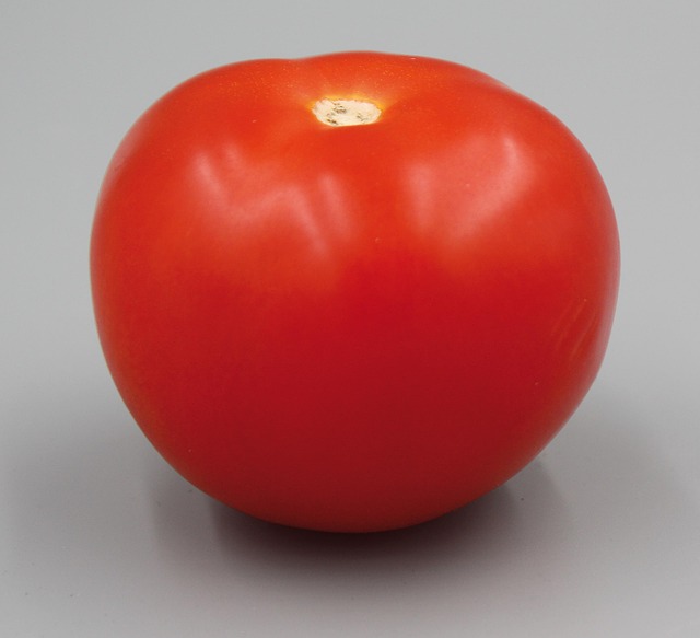 Free Tomato Vegetable photo and picture