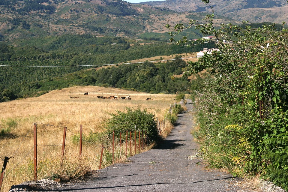 Panorama Street Nature - Free photo on Pixabay - Pixabay