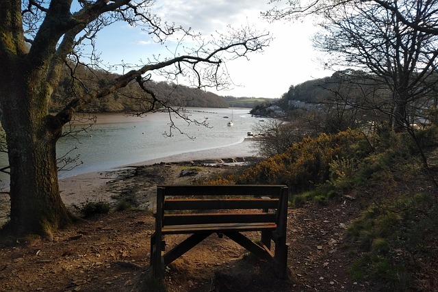 Free Bench Calm photo and picture