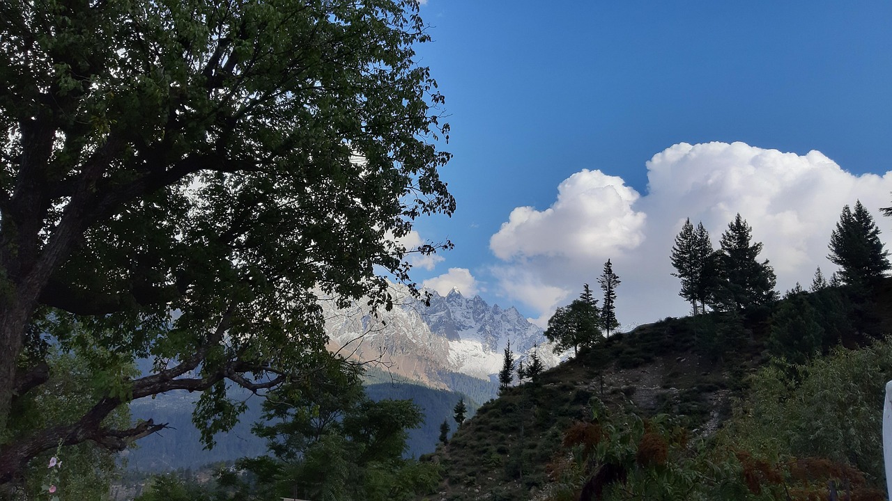 Hermosa Pakistán Swat Belleza Foto gratis