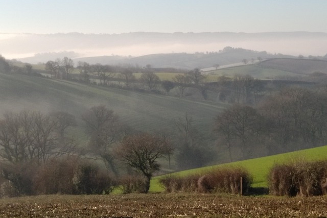 Free Hills View photo and picture