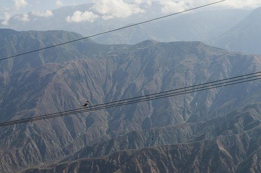 Vogel, Natur, Chicamocha, Kolumbien