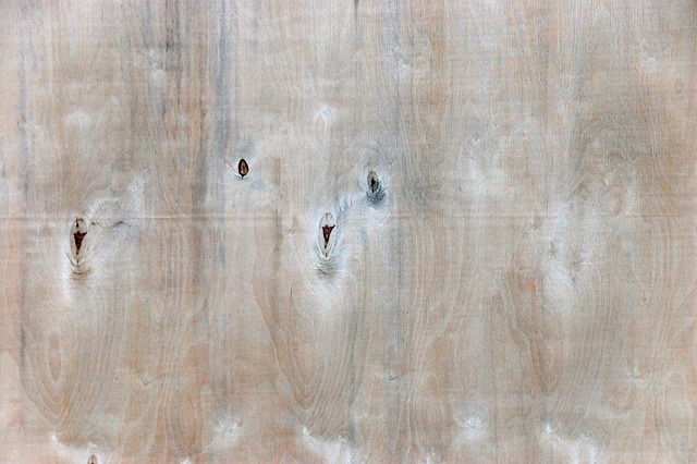 Free Texture Background photo and picture