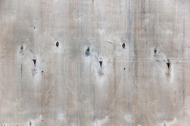 Free Texture Background photo and picture