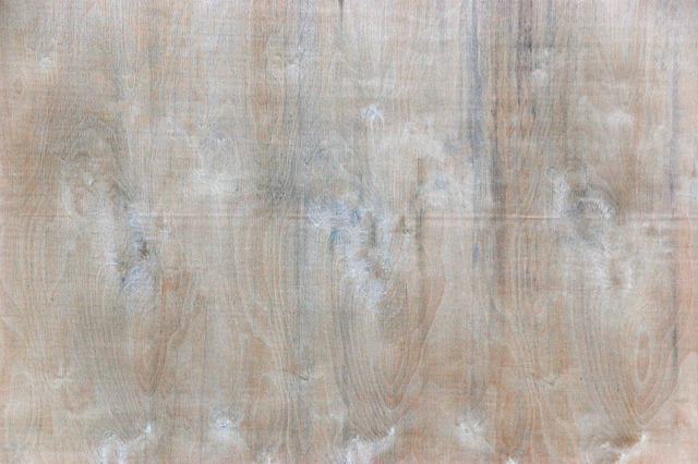 Textura, Fundal, Copac, Probă, Adnotare