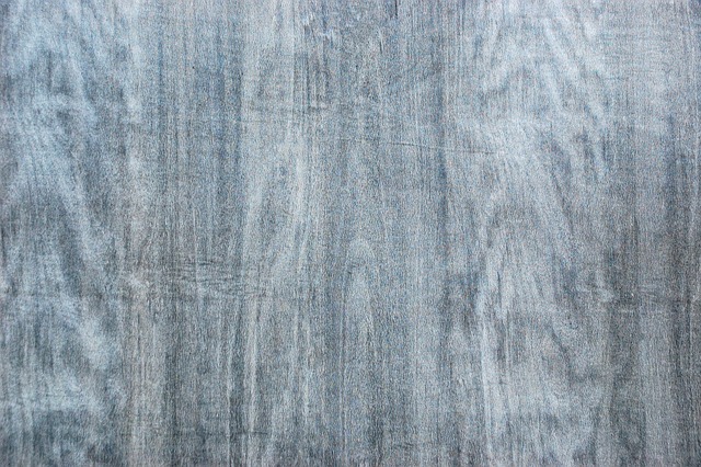 Textura, Fundal, Copac, Probă, Adnotare