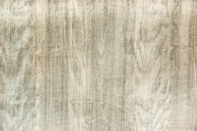 Textura, Fundal, Copac, Probă, Adnotare
