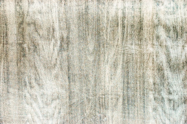 Textura, Fundal, Copac, Probă, Adnotare