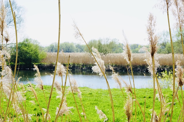Free Water Neustadt photo and picture
