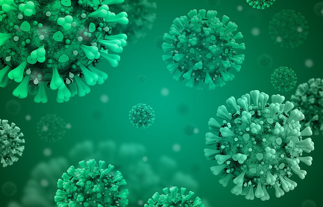 coronavirus disease covid-2019, coronavirus, windows wallpaper, corona, laptop wallpaper, covid-19, desktop backgrounds, hd wallpaper, 2019-ncov, 3d render, danger, disease, cool backgrounds, epidemic, flu, health, wallpaper 4k, mac wallpaper, illness, immunity, infect, macro, wallpaper hd, free background, microbiology, beautiful wallpaper, microscopic, model, pandemic, render, 4k wallpaper 1920x1080, sickness, 4k wallpaper, symptoms, virus, full hd wallpaper, free wallpaper, background, biology