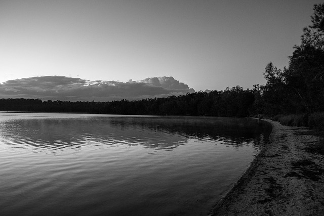 Sort, Natur, Hvid, Sø, Solopgang
